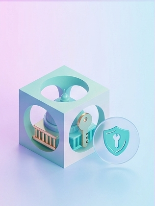 government-icon